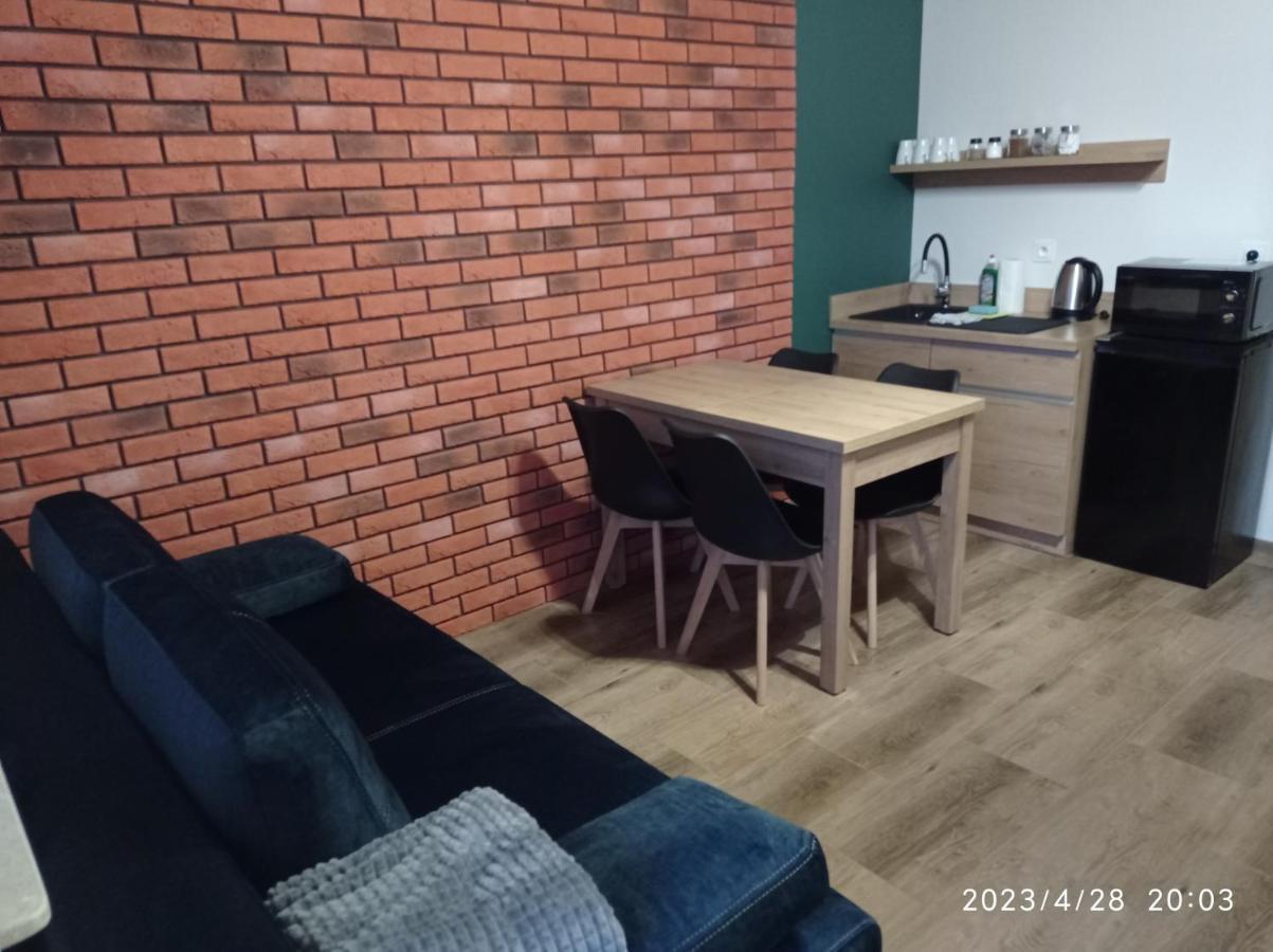 Loft Park Zator, Lokalizacja Przy Wej Parku Villa Kültér fotó