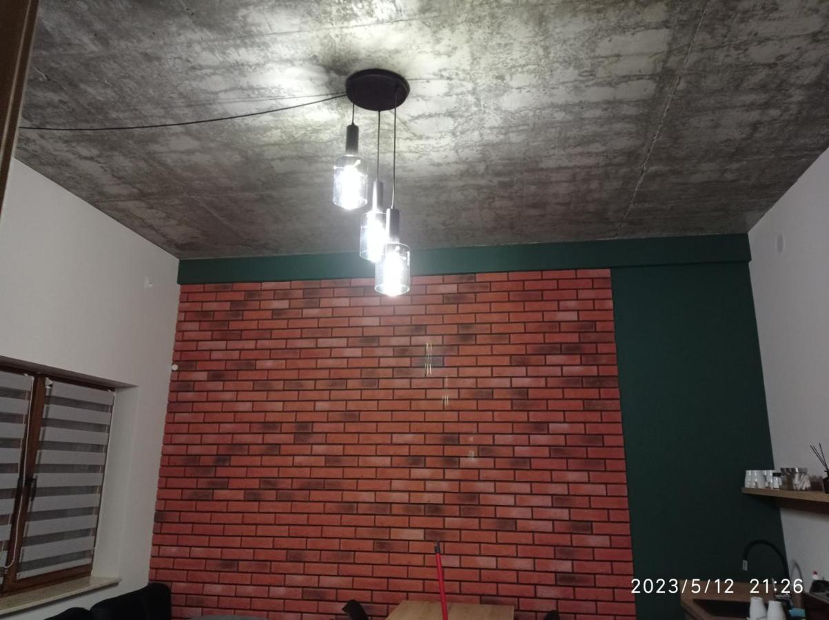 Loft Park Zator, Lokalizacja Przy Wej Parku Villa Kültér fotó